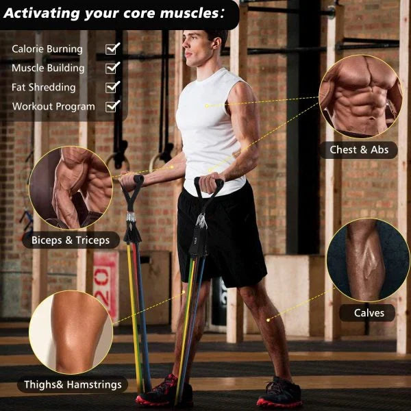 High Quality Portable Resistance Bands With Handles, Resistance Tubes & Workout Bands Exercise Band Elastic Pull Rope 11 Pcs Set